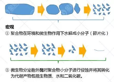 和塑美科技官網