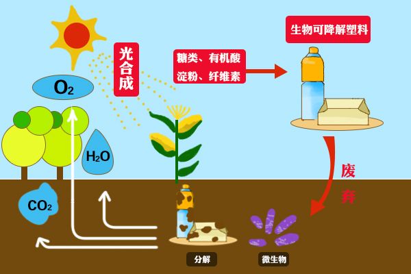 ?可降解知識(shí)庫(kù)：降解機(jī)理篇