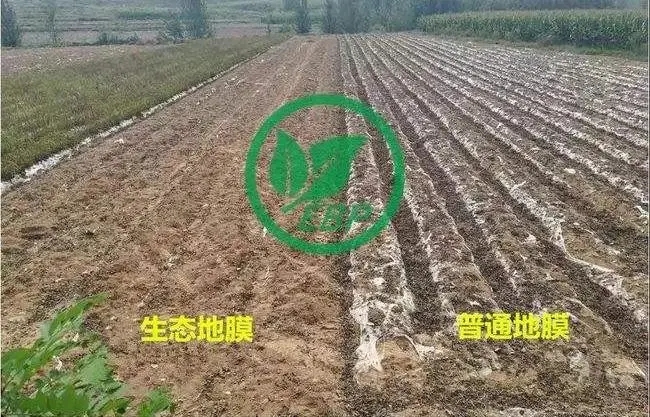 生物降解地膜發(fā)展中面臨的問(wèn)題