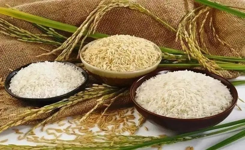 “生物基”“生物降解”分不清？名字相似，其實(shí)大不相同