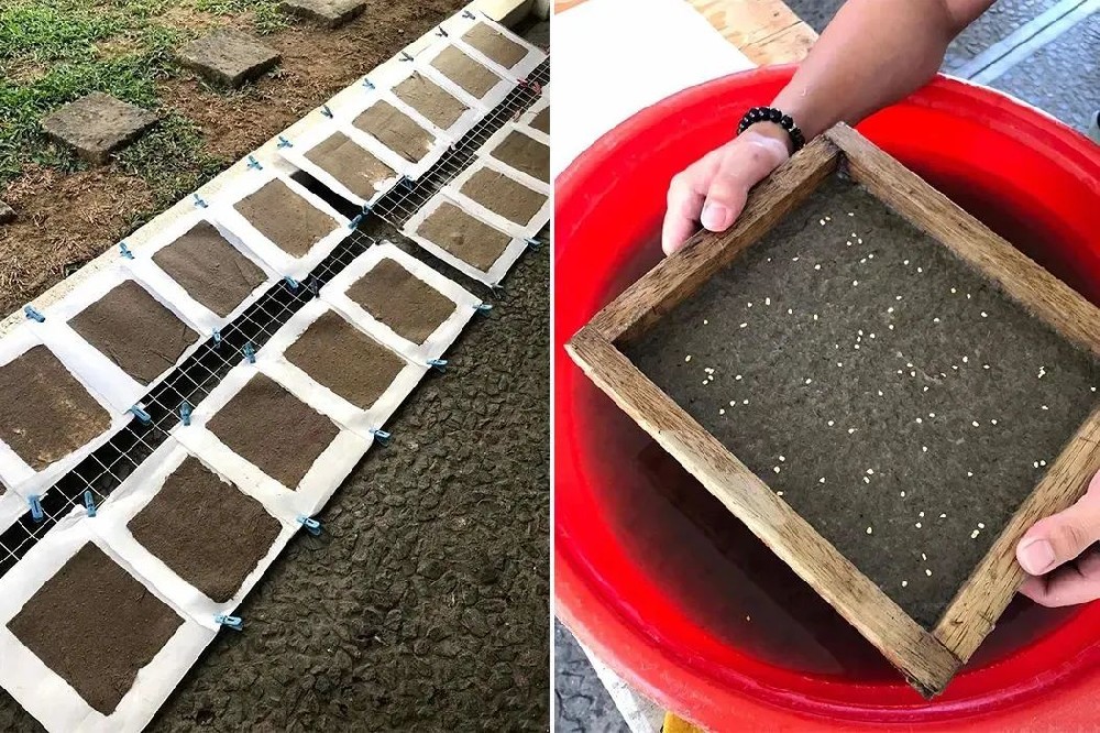 環(huán)保包裝新材料：生物基，純天然降解材料（上）