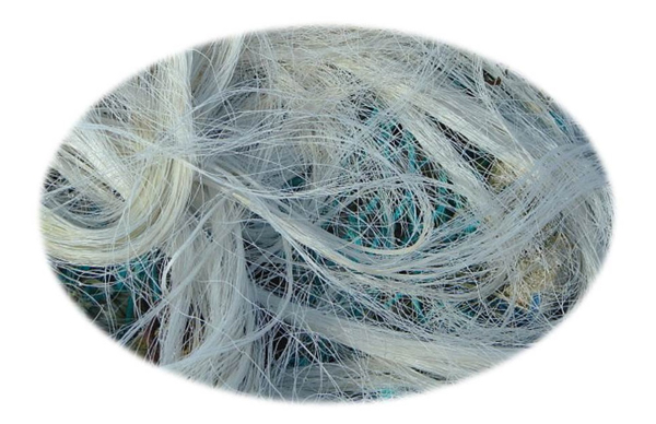 工信部等四部門印發(fā)紡織工業(yè)提質(zhì)升級方案，加強(qiáng)聚乳酸纖維等關(guān)鍵技術(shù)突破，增強(qiáng)生物基等綠色紡織品認(rèn)證